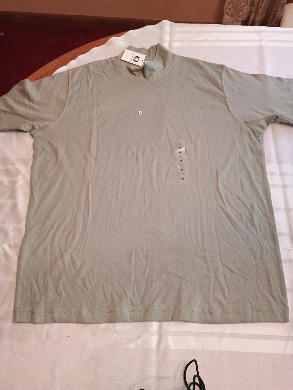 Hasting & Smith Short sleeve mock turtleneck T shirt. Size 1x.  Sage Green NWT